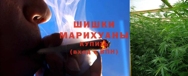 бутират Горняк