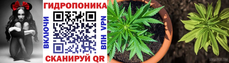 omg ССЫЛКА Зубцов Бошки Шишки индика
